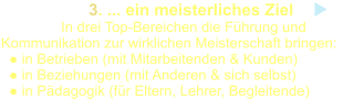 3. ... ein meisterliches Ziel                In drei Top-Bereichen die Führung und Kommunikation zur wirklichen Meisterschaft bringen:    ● in Betrieben (mit Mitarbeitenden & Kunden)   ● in Beziehungen (mit Anderen & sich selbst)    ● in Pädagogik (für Eltern, Lehrer, Begleitende)