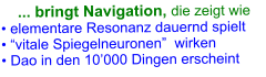 ... bringt Navigation, die zeigt wie • elementare Resonanz dauernd spielt  • “vitale Spiegelneuronen”  wirken • Dao in den 10’000 Dingen erscheint