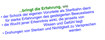 ...bringt die Erfahrung, wie  • der Schock der eigenen Vorurteile als Startbahn dient      für starke Erfahrungen des gesteigerten Bewusstseins • die Wucht jener Erkenntnis wirkt, die jenseits von           Wissen und Gefühl liegt • Drohungen von Sterben und Nichtigkeit zu Versprechen     	 	            werden