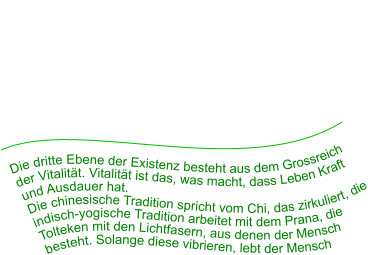 Die dritte Ebene der Existenz besteht aus dem Grossreich der Vitalität. Vitalität ist das, was macht, dass Leben Kraft und Ausdauer hat.  Die chinesische Tradition spricht vom Chi, das zirkuliert, die indisch-yogische Tradition arbeitet mit dem Prana, die Tolteken mit den Lichtfasern, aus denen der Mensch besteht. Solange diese vibrieren, lebt der Mensch