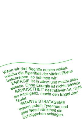 Wenn wir drei Begriffe nutzen wollen, welche die Eigenheit der vitalen Ebene beschreiben, so nehmen wir:     ENERGIE ist in allem und macht alles wirklich. Ohne Energie ist nichts wirklich     BEWUSSTHEIT destruktiver Art, nicht die Intelligenz, macht den Engel zum Teufel.    SMARTE STRATAGEME  lassen jedem Tyrannen und  aller Beschränktheit ein  Schnippchen schlagen.