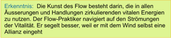 Erkenntnis:  Die Kunst des Flow besteht darin, die in allen Äusserungen und Handlungen zirkulierenden vitalen Energien zu nutzen. Der Flow-Praktiker navigiert auf den Strömungen der Vitalität. Er segelt besser, weil er mit dem Wind selbst eine Allianz eingeht